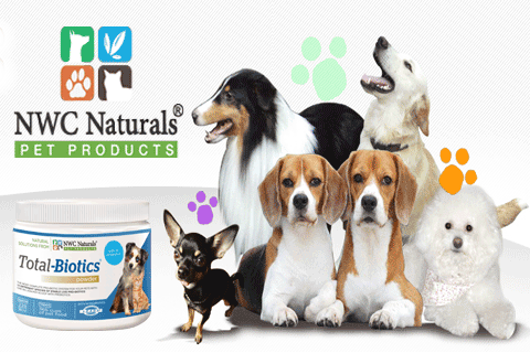 probiotics for pets