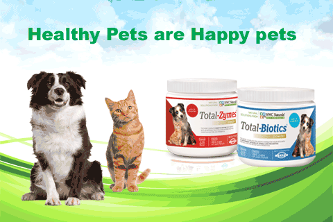 pet probiotics